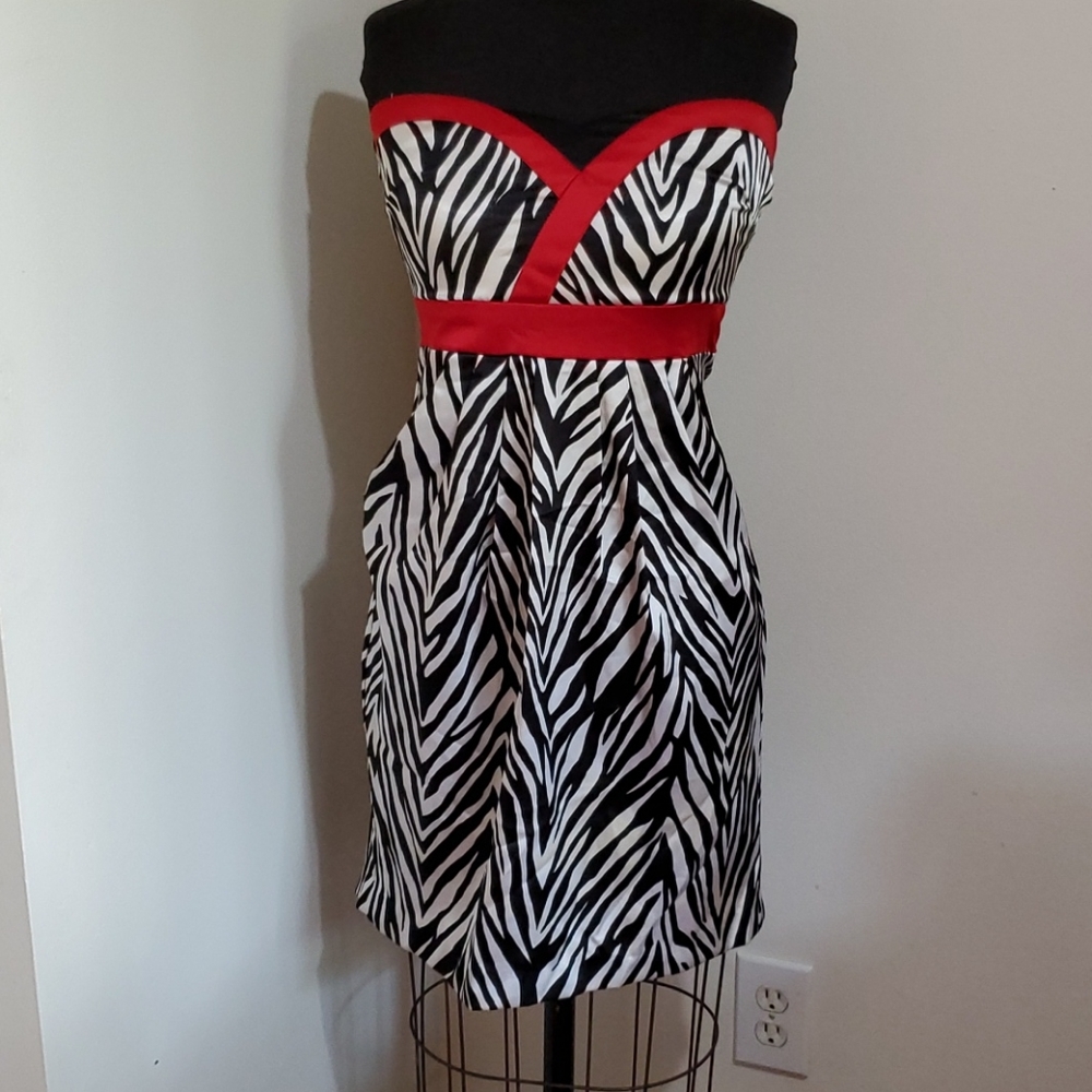 Wishes, Wishes, Wishes Strapless Satin Dress- Sz 9